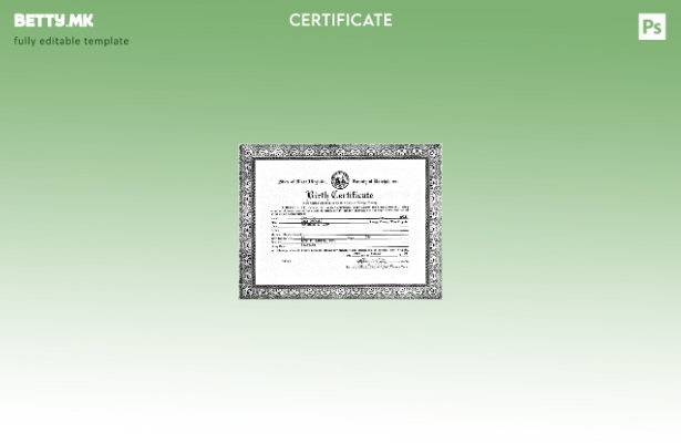 модерен стил Соединетите Американски Држави Службеник во Западна Вирџинија Шабло